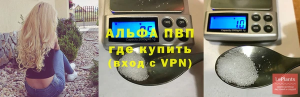 сатива Вяземский