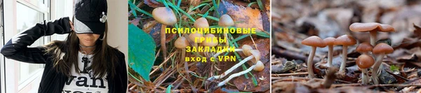 кокс Волосово
