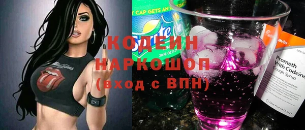 сатива Вяземский