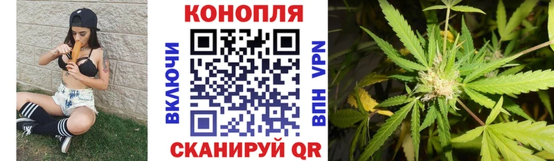 Конопля индика  Лыткарино 